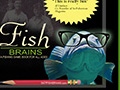Fish Brains